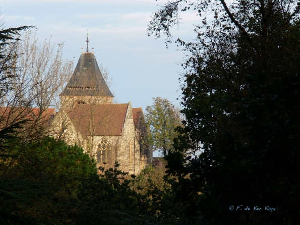 Bois des moutiers fall 2012 (15)